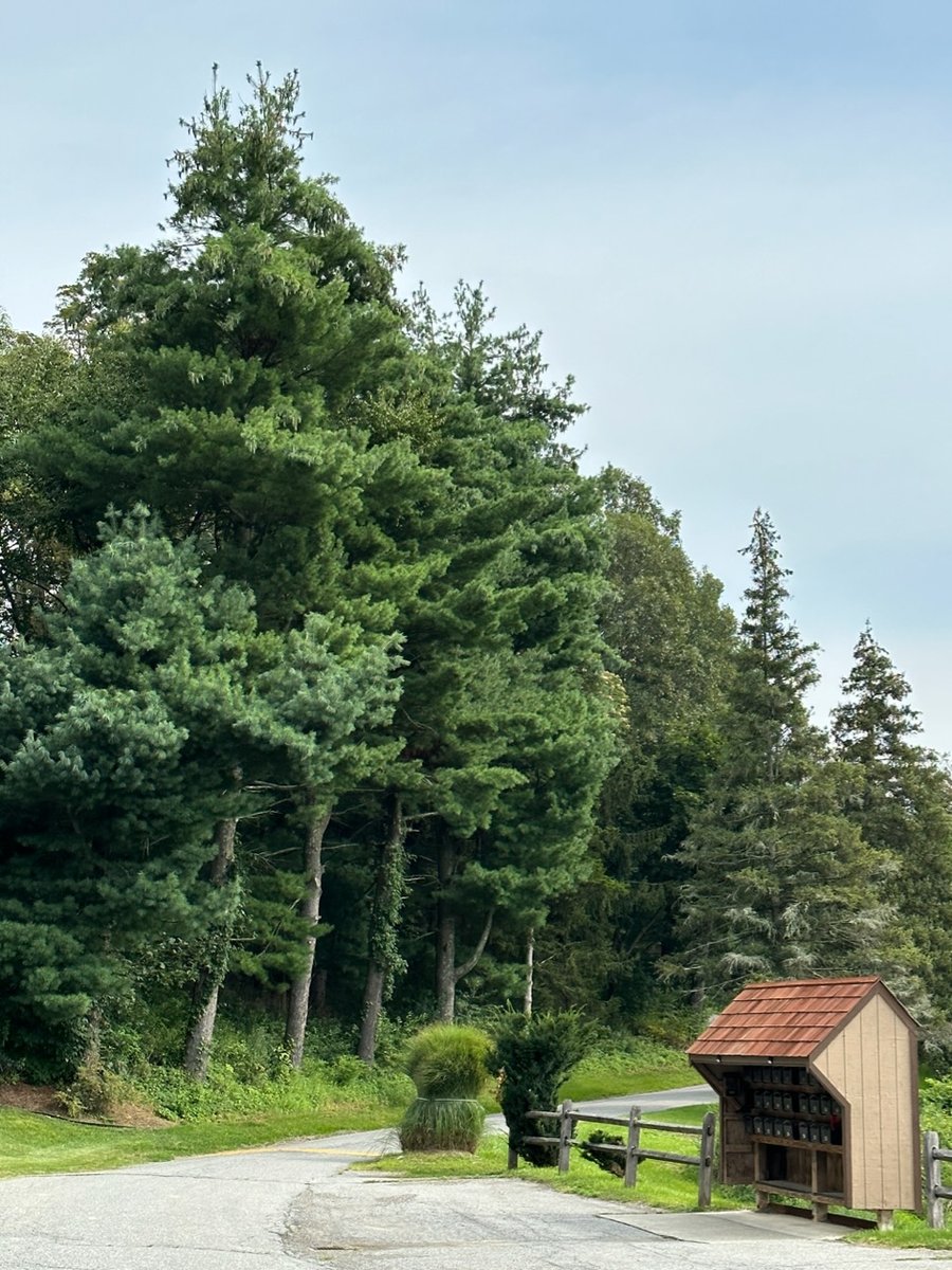 Park entrance with mailboxes
