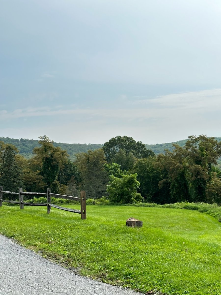 Home with landscaped garden